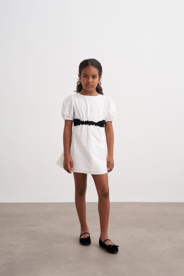 Window Detail Waist Poplin Dress