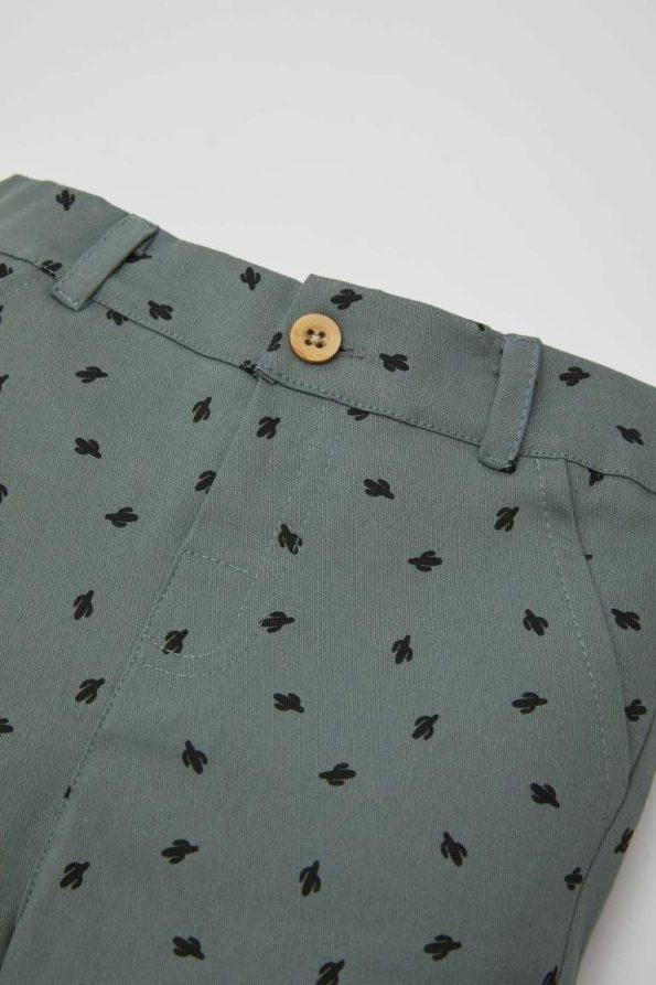 Boys' Cactus Print Gabardine Shorts