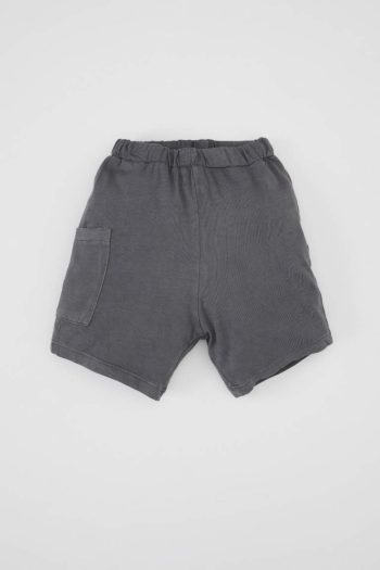 Boys' Dinosaur Print Short Sleeve T-Shirt and Elastic Waist Shorts Set