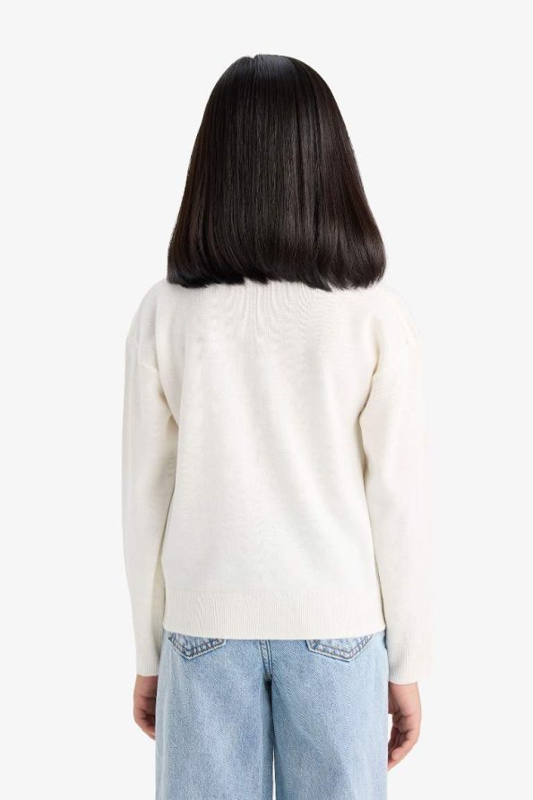 Girls' Standard Fit Crew Neck Knit Sweater