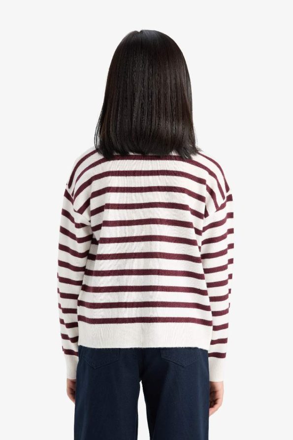 Girls' Standard Fit Crew Neck Knit Sweater