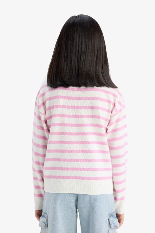 Girls' Standard Fit Striped Crew Neck Knit Sweater