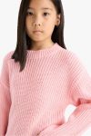 Girls' Standard Fit Crew Neck Knit Sweater