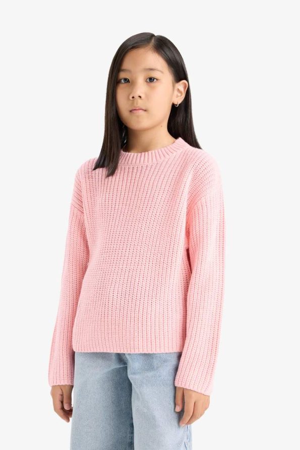 Girls' Standard Fit Crew Neck Knit Sweater