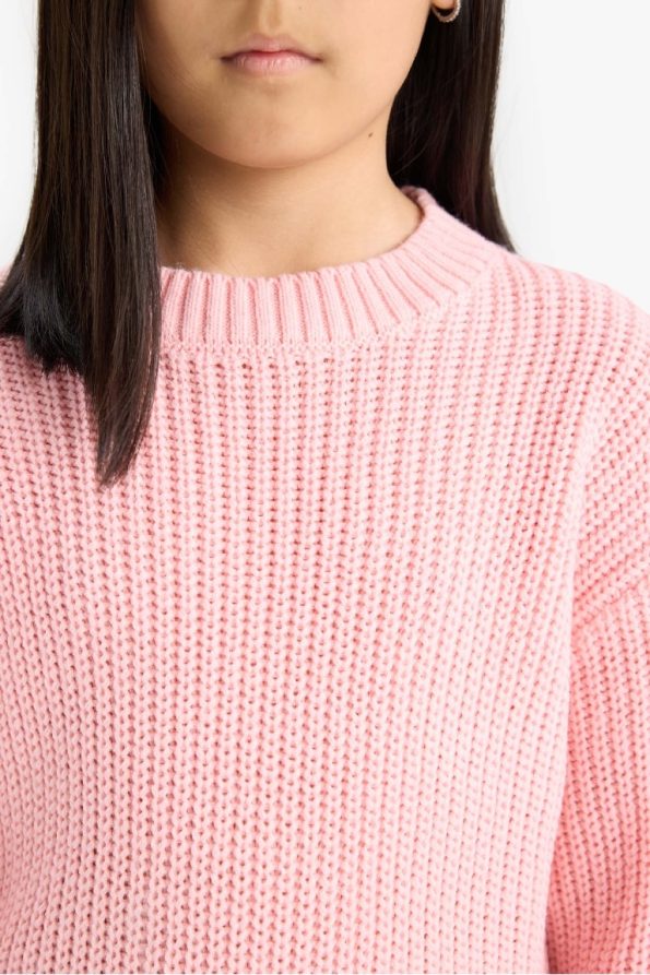 Girls' Standard Fit Crew Neck Knit Sweater