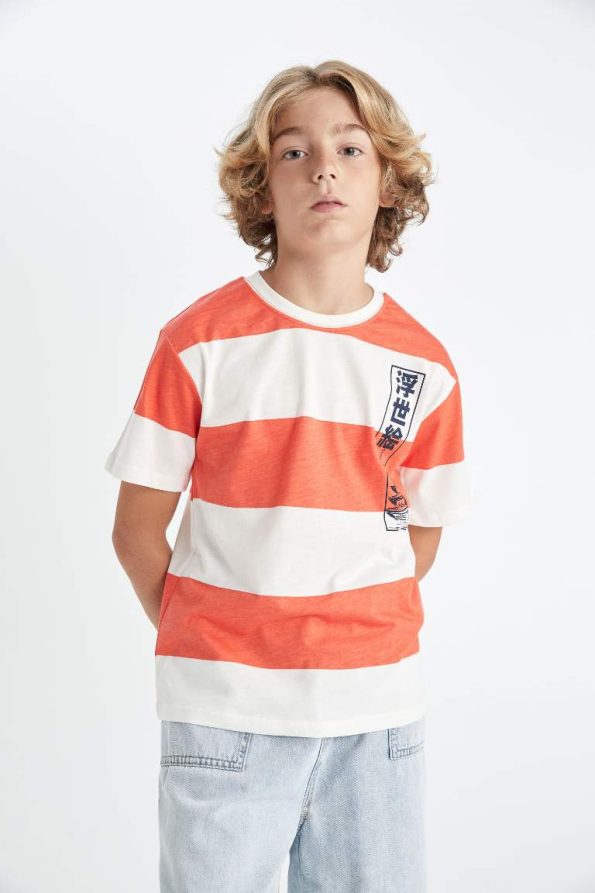 Boys' Striped Short Sleeve Crew Neck T-Shirt