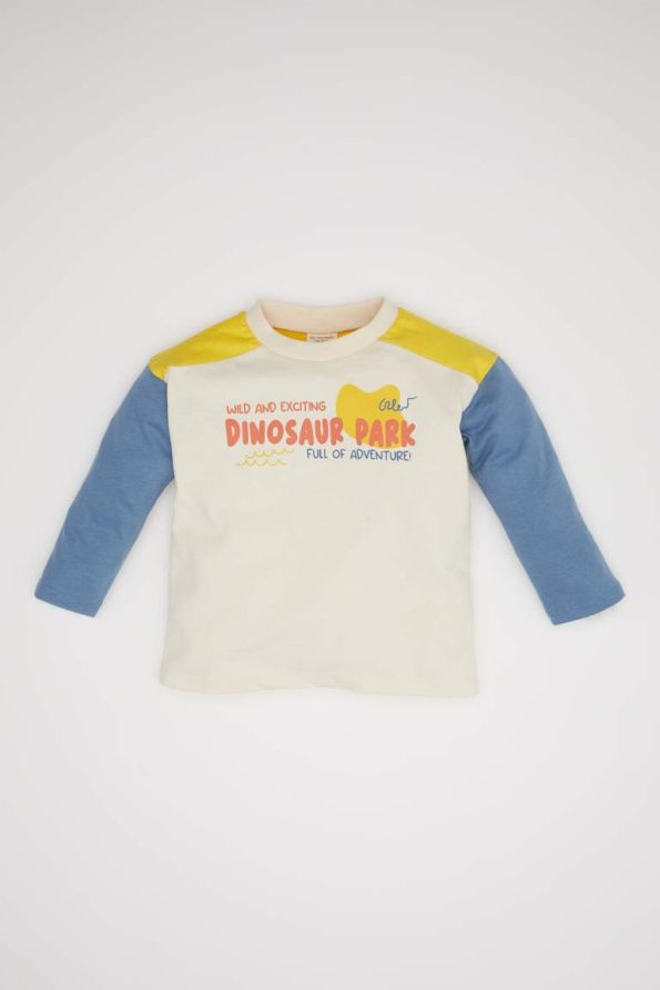 Boys' Long Sleeve Color Block Printed Crew Neck T-Shirt
