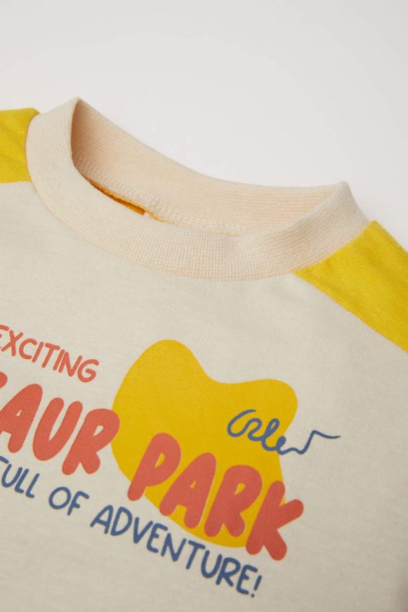 Boys' Long Sleeve Color Block Printed Crew Neck T-Shirt