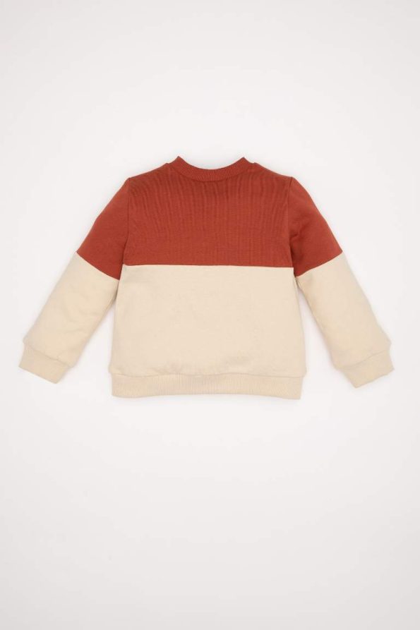 Boys' Soft-Fleeced Color Block Crew Neck Sweatshirt