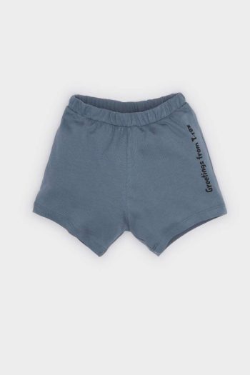 Boys' Dino Print Short Sleeve T-Shirt and Elastic Waist Shorts Set