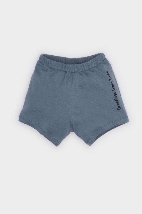Boys' Dino Print Short Sleeve T-Shirt and Elastic Waist Shorts Set
