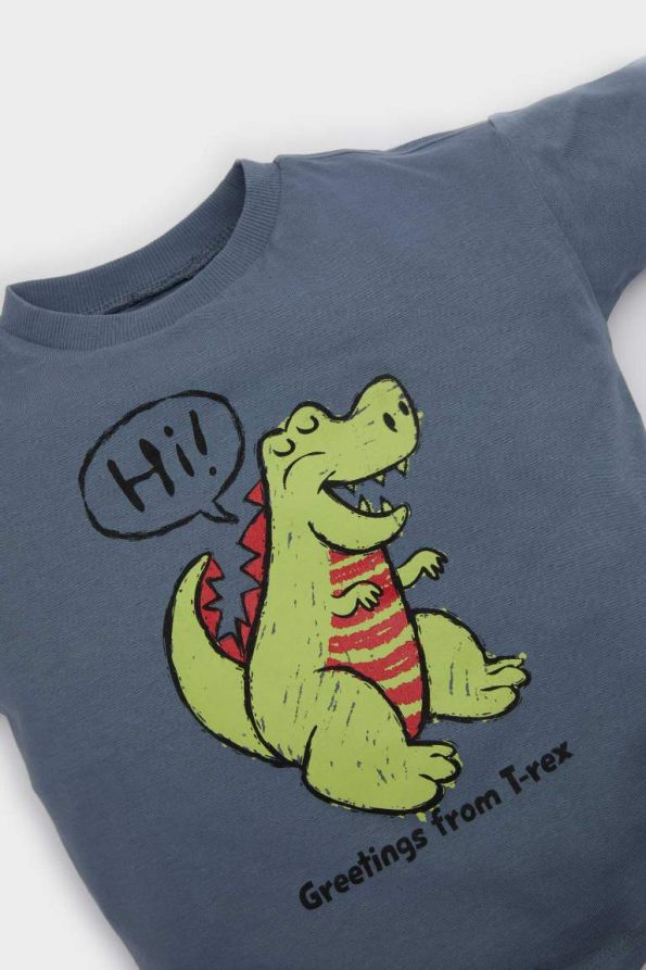 Boys' Dino Print Short Sleeve T-Shirt and Elastic Waist Shorts Set