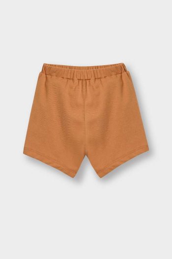 Baby Boy 2-Piece Set with Lion Print Short Sleeve T-Shirt and Elastic Waist Shorts