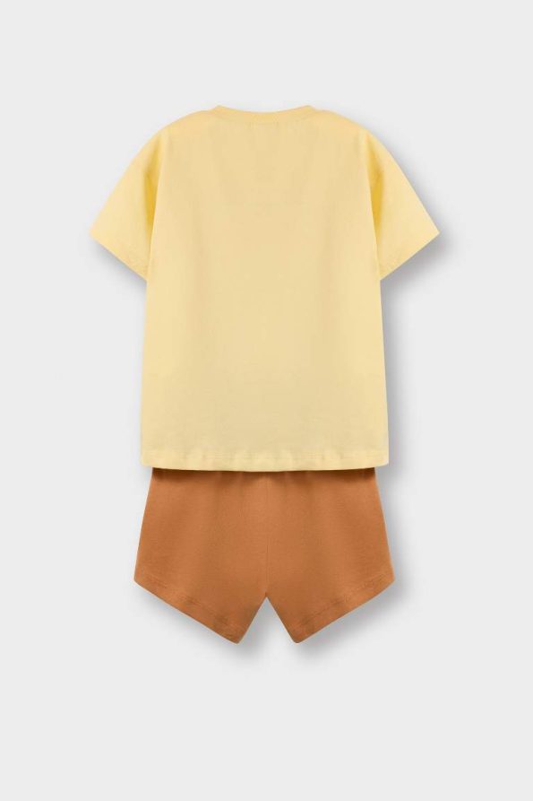 Baby Boy 2-Piece Set with Lion Print Short Sleeve T-Shirt and Elastic Waist Shorts