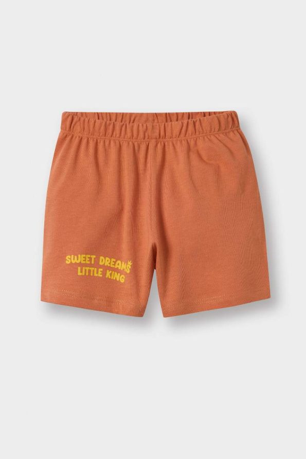 Boys' Lion Print Short Sleeve Pajama Set with Elastic Waist Shorts