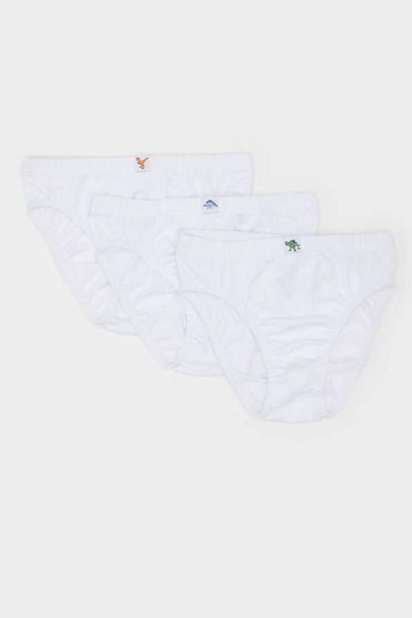 Boys' 3-Pack Briefs