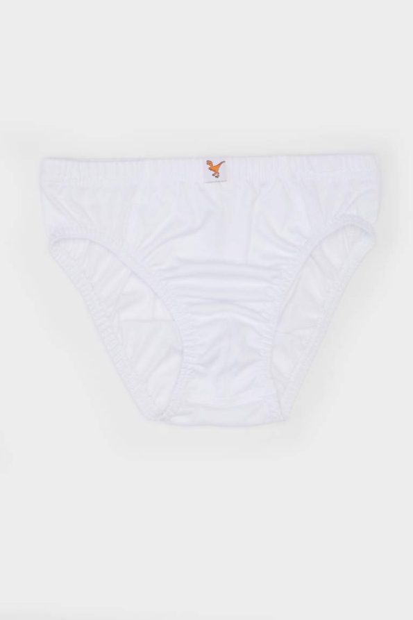 Boys' 3-Pack Briefs