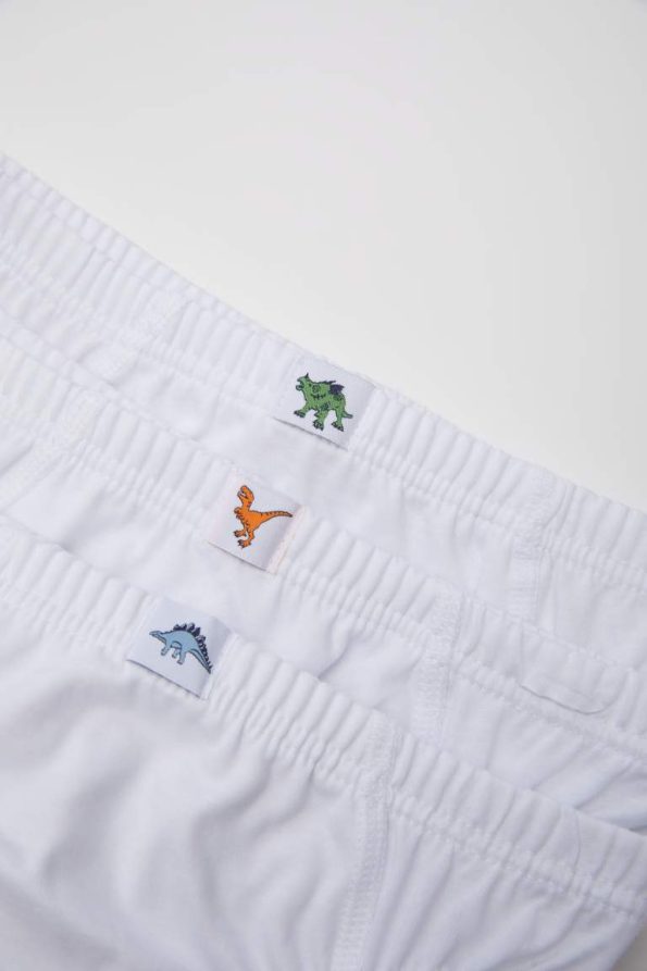 Boys' 3-Pack Briefs