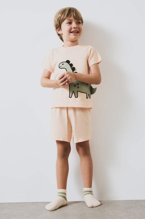 Boys' Short Sleeve Pajama Set with Elastic Waist Shorts