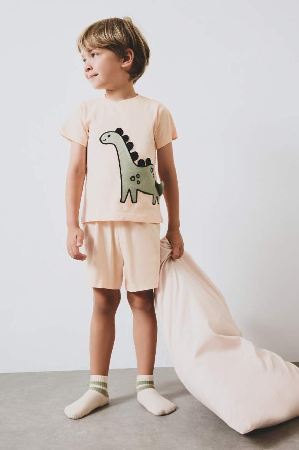Boys' Short Sleeve Pajama Set with Elastic Waist Shorts