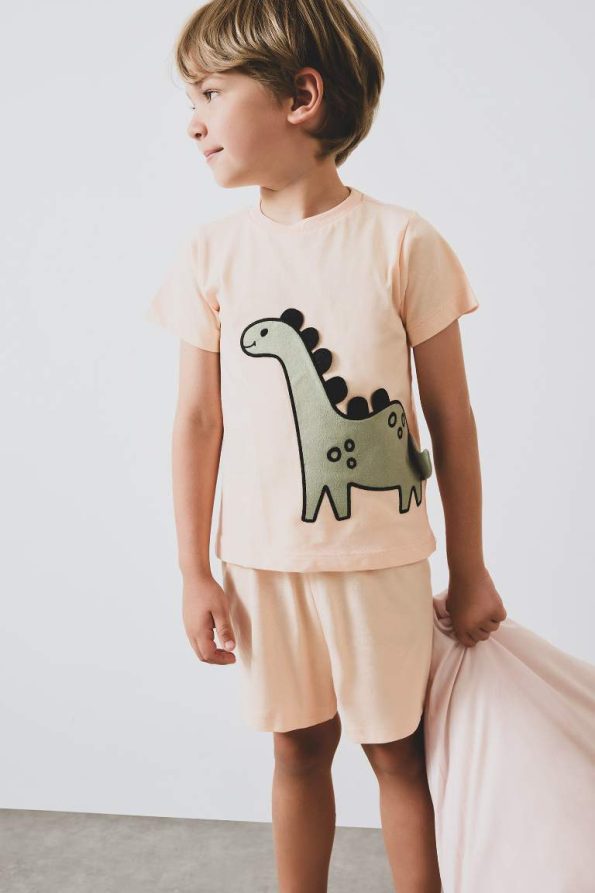 Boys' Short Sleeve Pajama Set with Elastic Waist Shorts