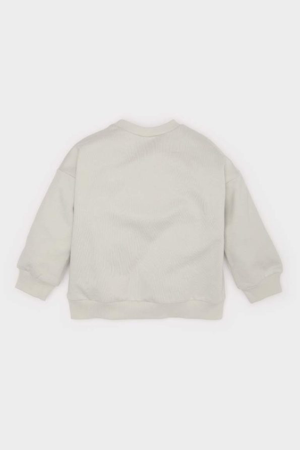 Boys' Printed Crew Neck Sweatshirt