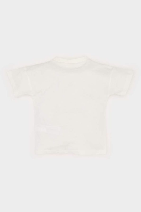 Boys' Short Sleeve Dinosaur Print Crew Neck T-Shirt
