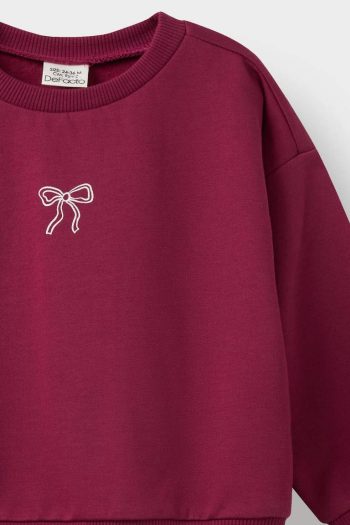 Girls' Baby Soft Fleece Lined Printed Sweatshirt