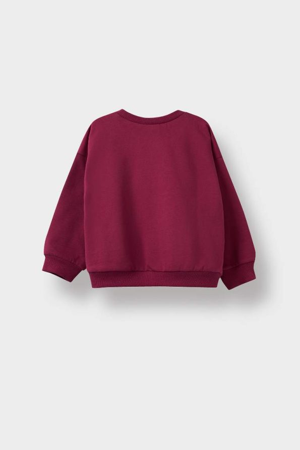 Girls' Baby Soft Fleece Lined Printed Sweatshirt