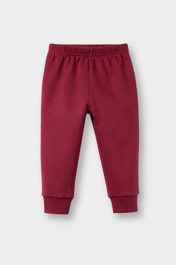 Boys' Basic Sweatshirt and Jogger Set