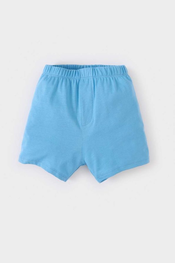 Boys' 2-Piece Printed Short Sleeve T-Shirt and Elastic Waist Shorts Set