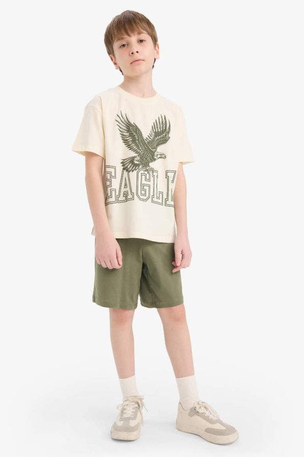 Boys' Two-Piece Printed Short Sleeve T-Shirt and Shorts Set