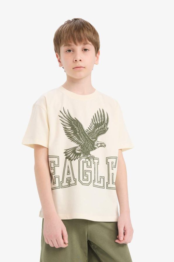 Boys' Two-Piece Printed Short Sleeve T-Shirt and Shorts Set