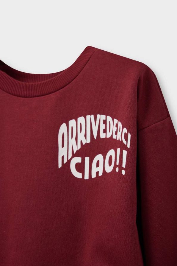 Boys' Printed Crew Neck Sweatshirt Set