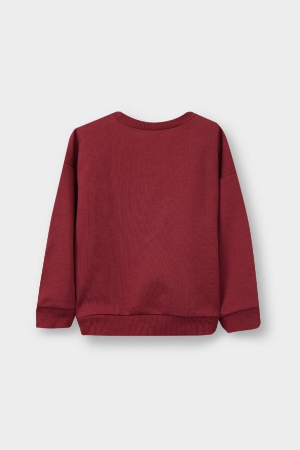 Boys' Printed Crew Neck Sweatshirt Set