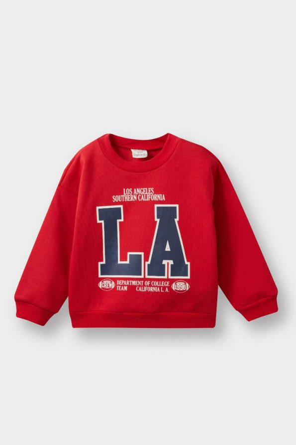 Boys' Soft Fleece Lined Printed Crew Neck Sweatshirt