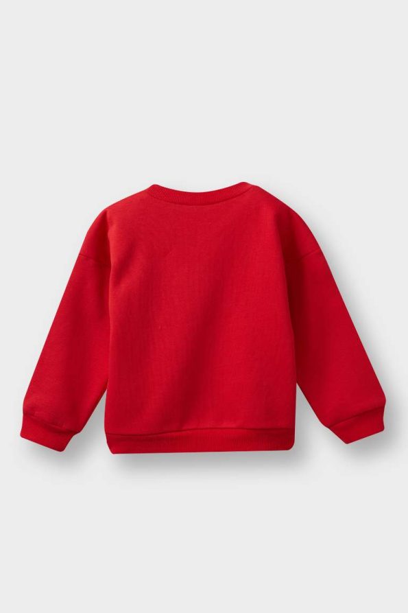 Boys' Soft Fleece Lined Printed Crew Neck Sweatshirt