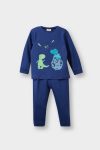 Boys' Dinosaur Print Long Sleeve Pajama Set
