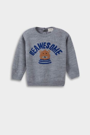 Baby Boy Bear Print Crew Neck Knit Sweater