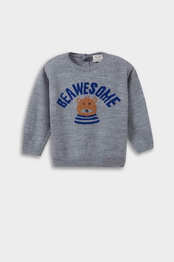 Baby Boy Bear Print Crew Neck Knit Sweater