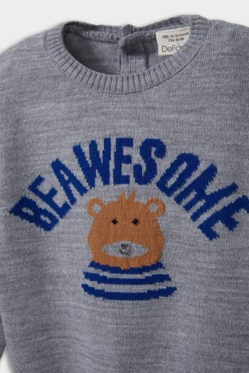 Baby Boy Bear Print Crew Neck Knit Sweater