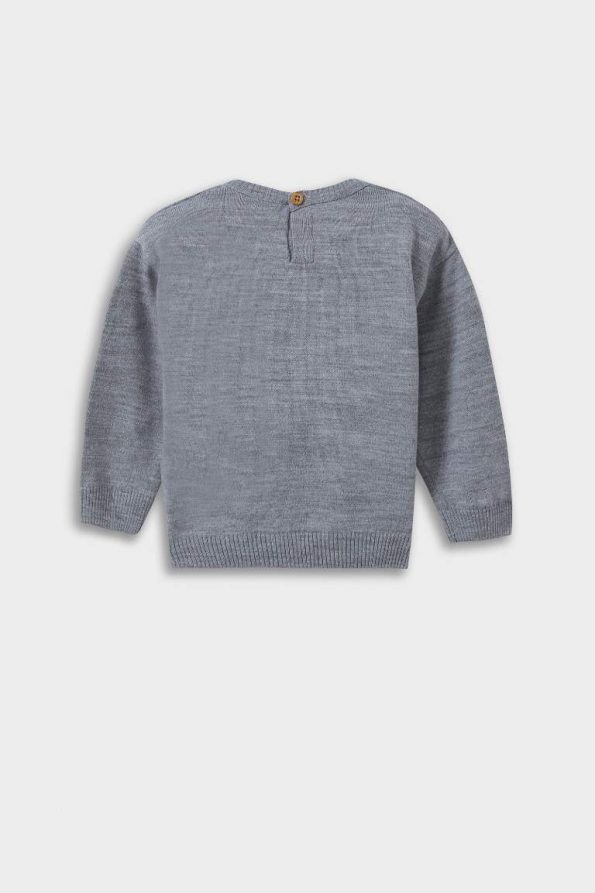 Baby Boy Bear Print Crew Neck Knit Sweater