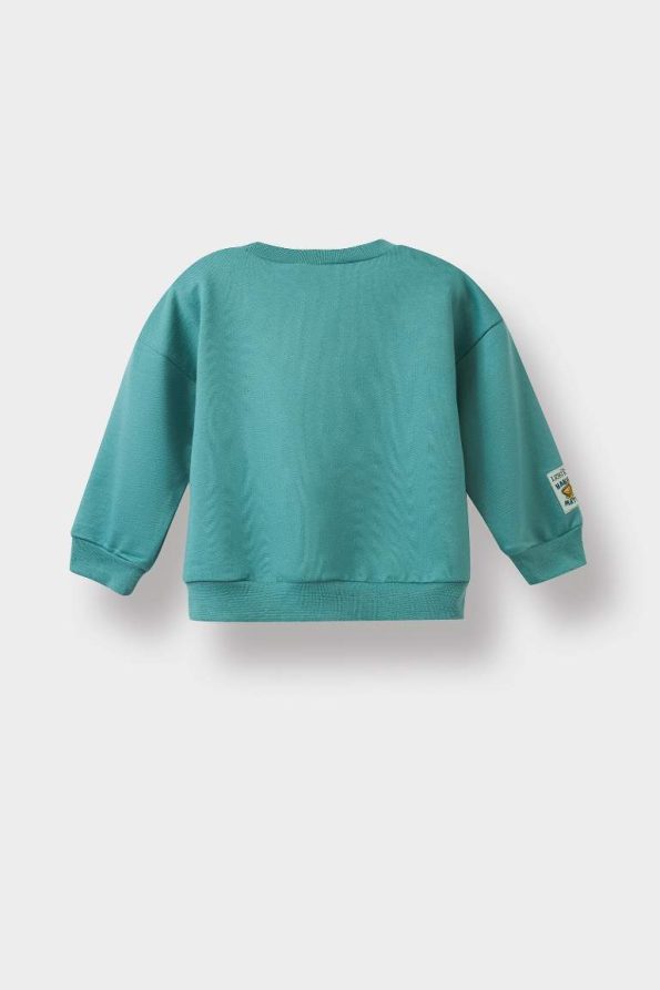 Boys' Disney Lion King Crew Neck Sweatshirt