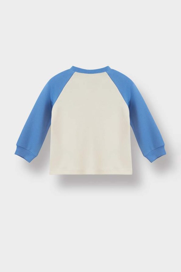 Boys' Long Sleeve Printed Pajama Set