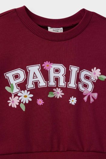 Girls' Printed Long Sleeve Tulle Dress