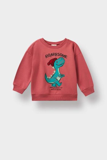 Boys' Soft-Fleece Dinosaur Print Crewneck Sweatshirt