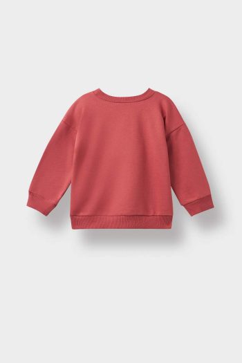 Boys' Soft-Fleece Dinosaur Print Crewneck Sweatshirt