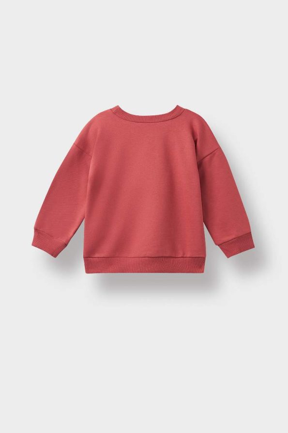 Boys' Soft-Fleece Dinosaur Print Crewneck Sweatshirt