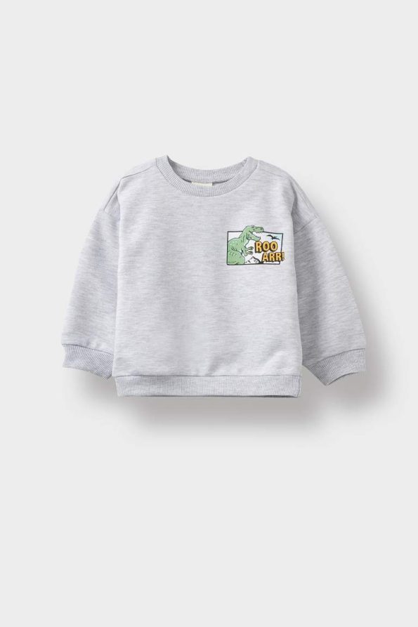 Boys' Dinosaur Print Soft-Fleece Sweatshirt