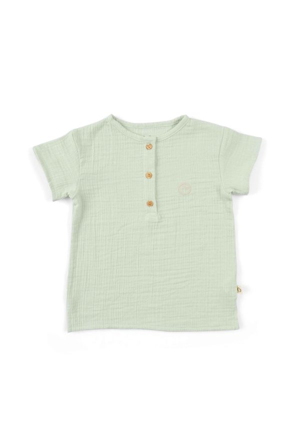 Organic Cotton Muslin Children's T-Shirt in Green
